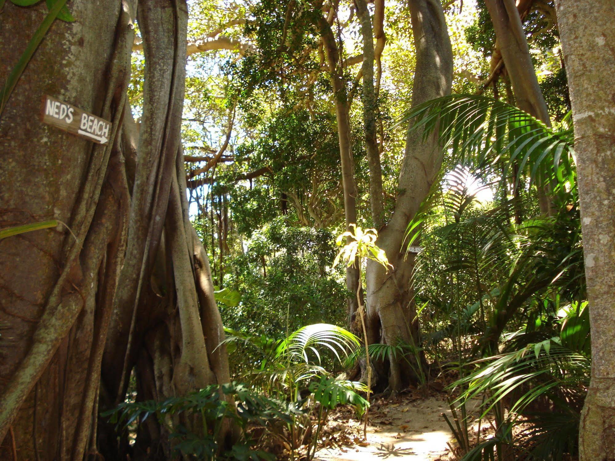 Lorhiti Apartments Lord Howe Island Exterior photo